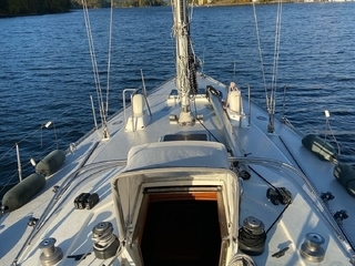 Swan 39