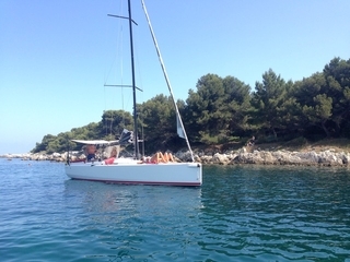 Wauquiez Optio 9.0
