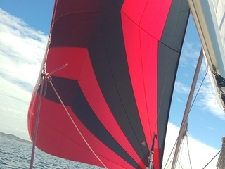 Bavaria 36 Cruiser