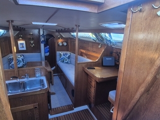 Comfortina 38 nr 37
