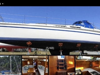 Comfortina 38 nr 37