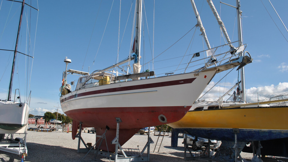 Aphrodite 42